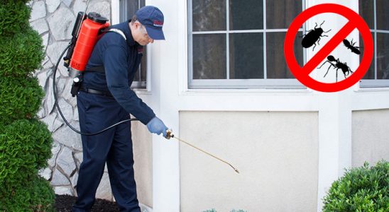 Sarıyer Böcek İlaçlama böcek ilaçlama ve haşere kontrolü — ilaclama-tr.com